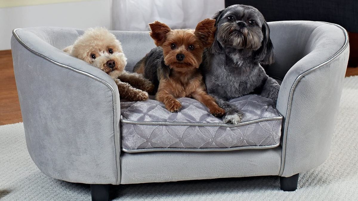 Best Luxury Dog Beds 2021 Perfect Pads For Pampered Pooches Petsradar