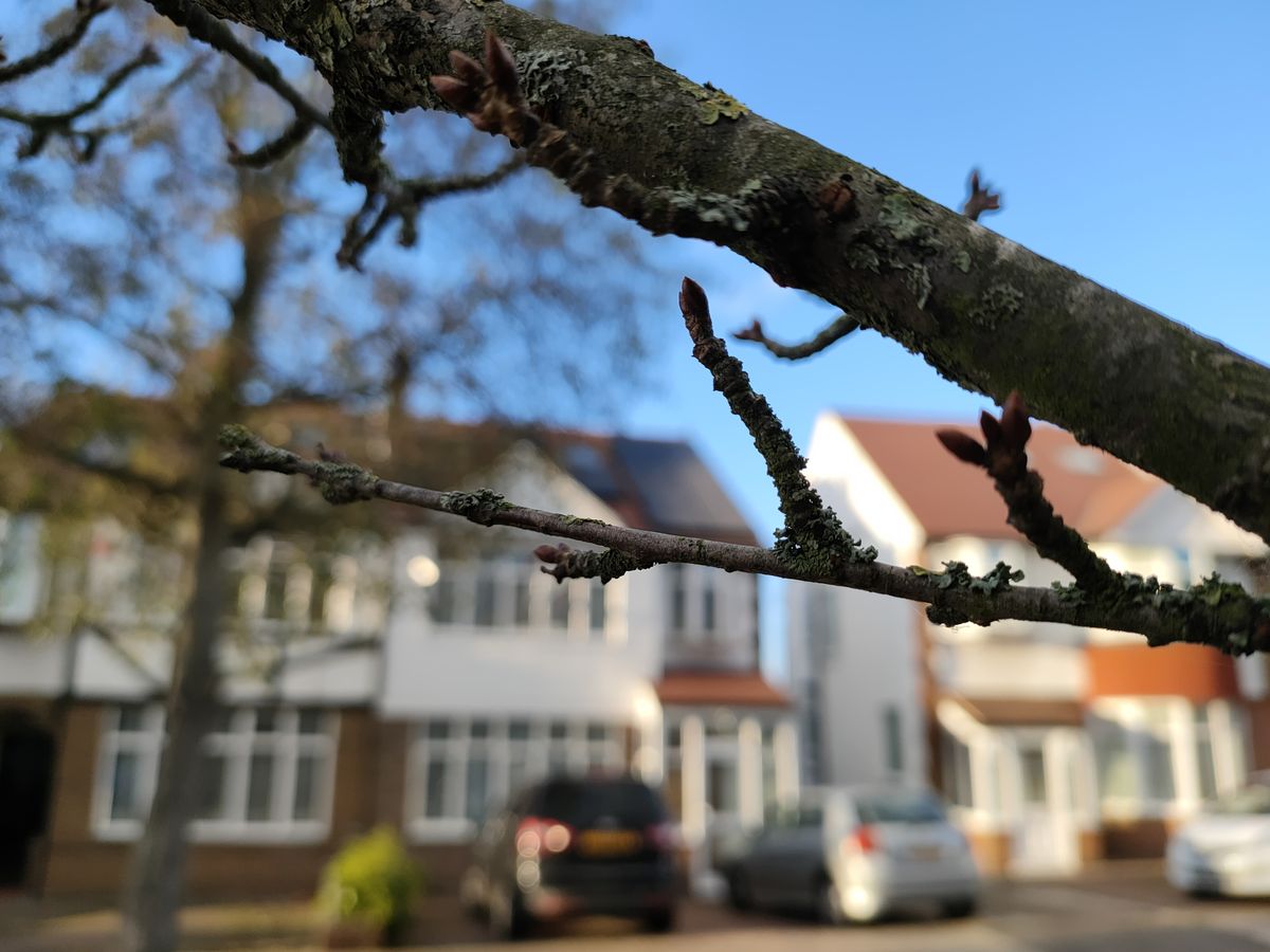 Oppo Reno 4 5G camera sample