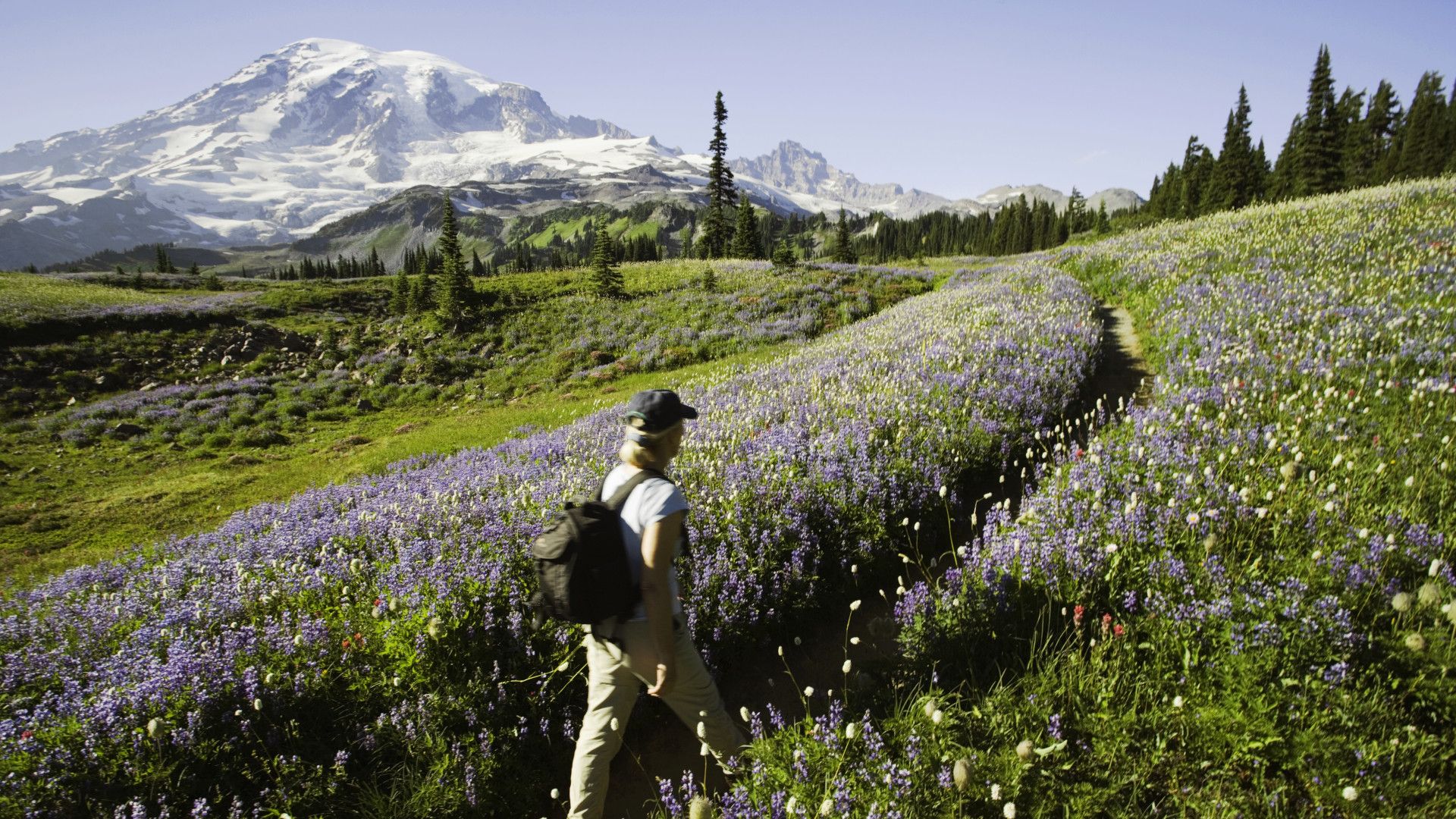 Spring hike