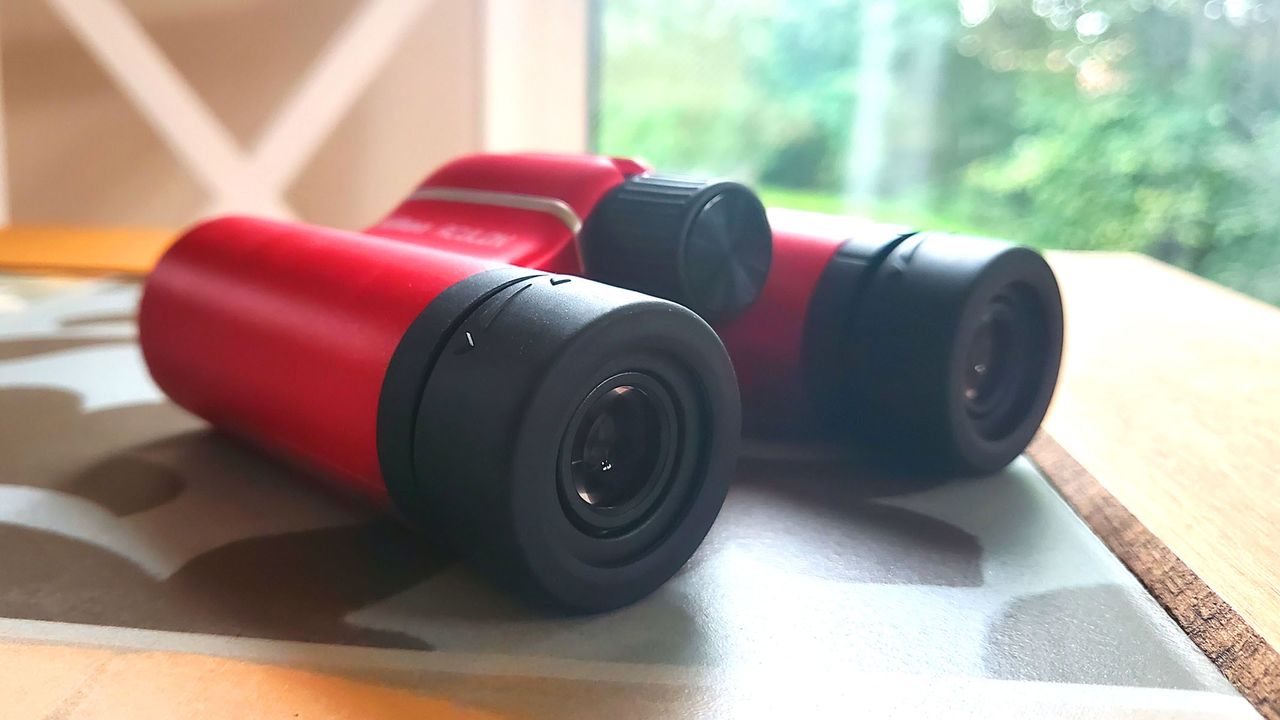Nikon Aculon T02 8x21 eyepieces and body