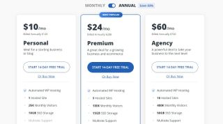 AI Website Builder's pricing options