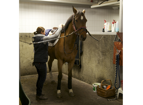 Behind the scenes with Olympic champion Steve Guerdat
