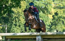 Saracen-20th-Oct-advertorial-lead-images