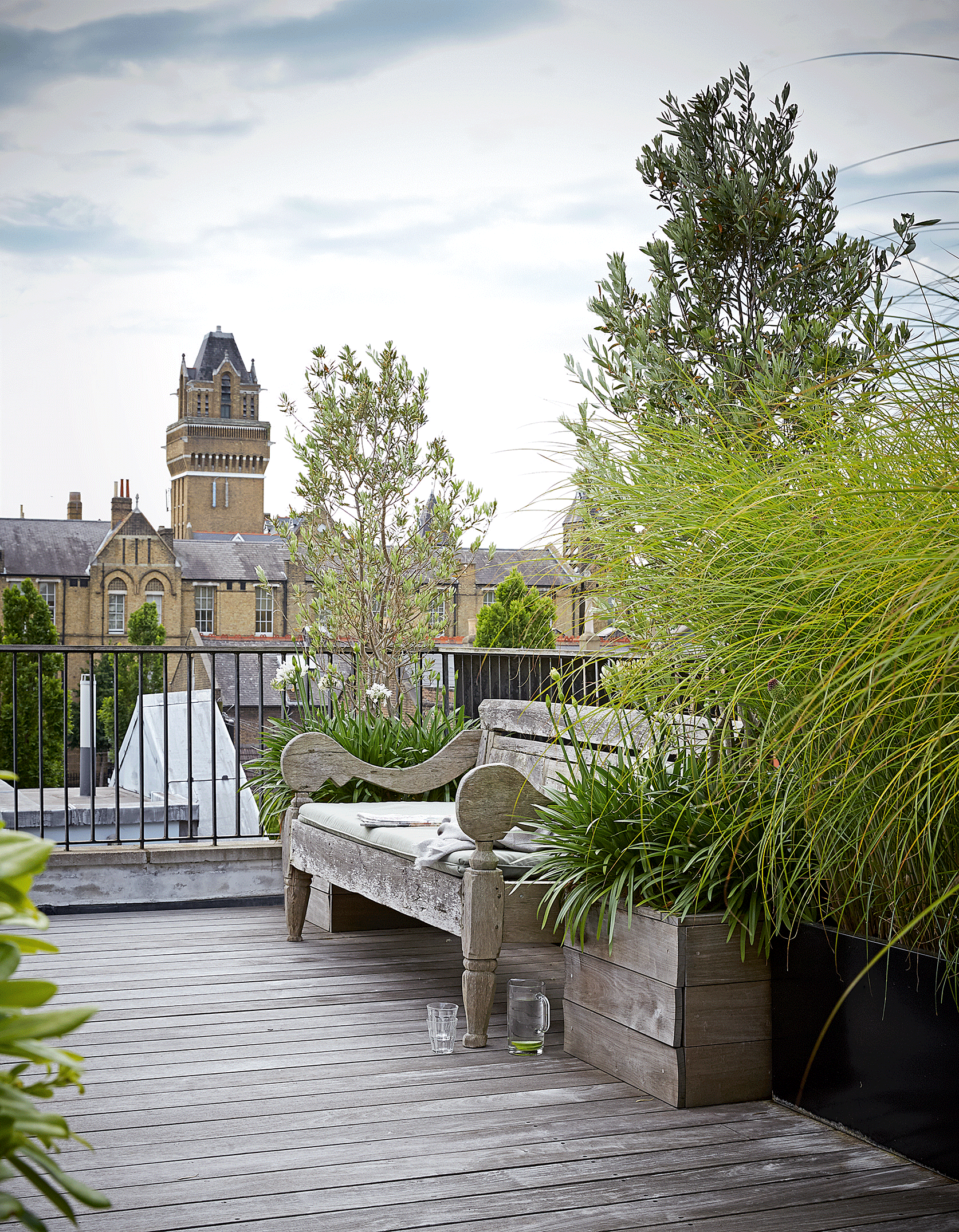 roof garden with tall plants for privacy