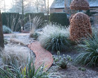 Courtyard garden in winter with frosted grass, domed beech topiary and decorative brick pathways
