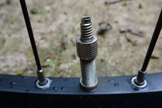 This image is a close up of a woods valve bike inner tube poking through the rim on a bike wheel