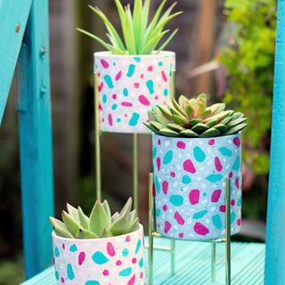 colourful painted planters with plants