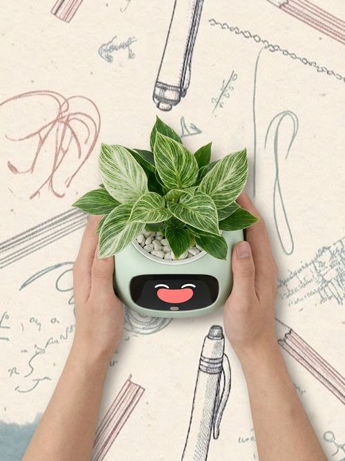 Smart Plant Pet