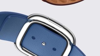 Apple Watch bands modern buckle