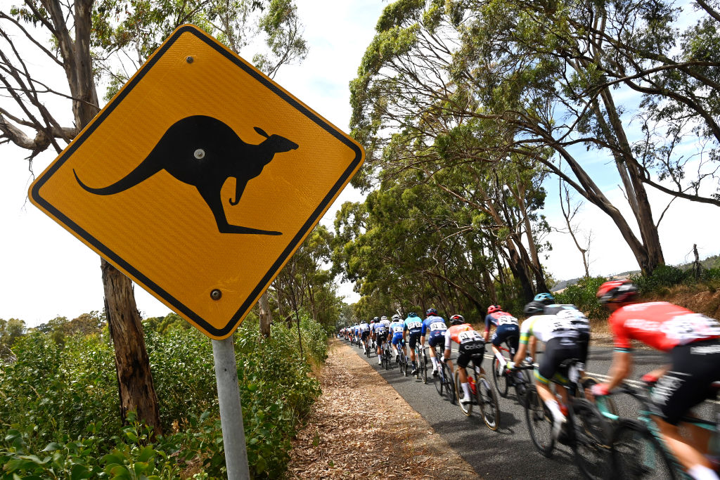 Kangaroo sign at the Tour Down Under