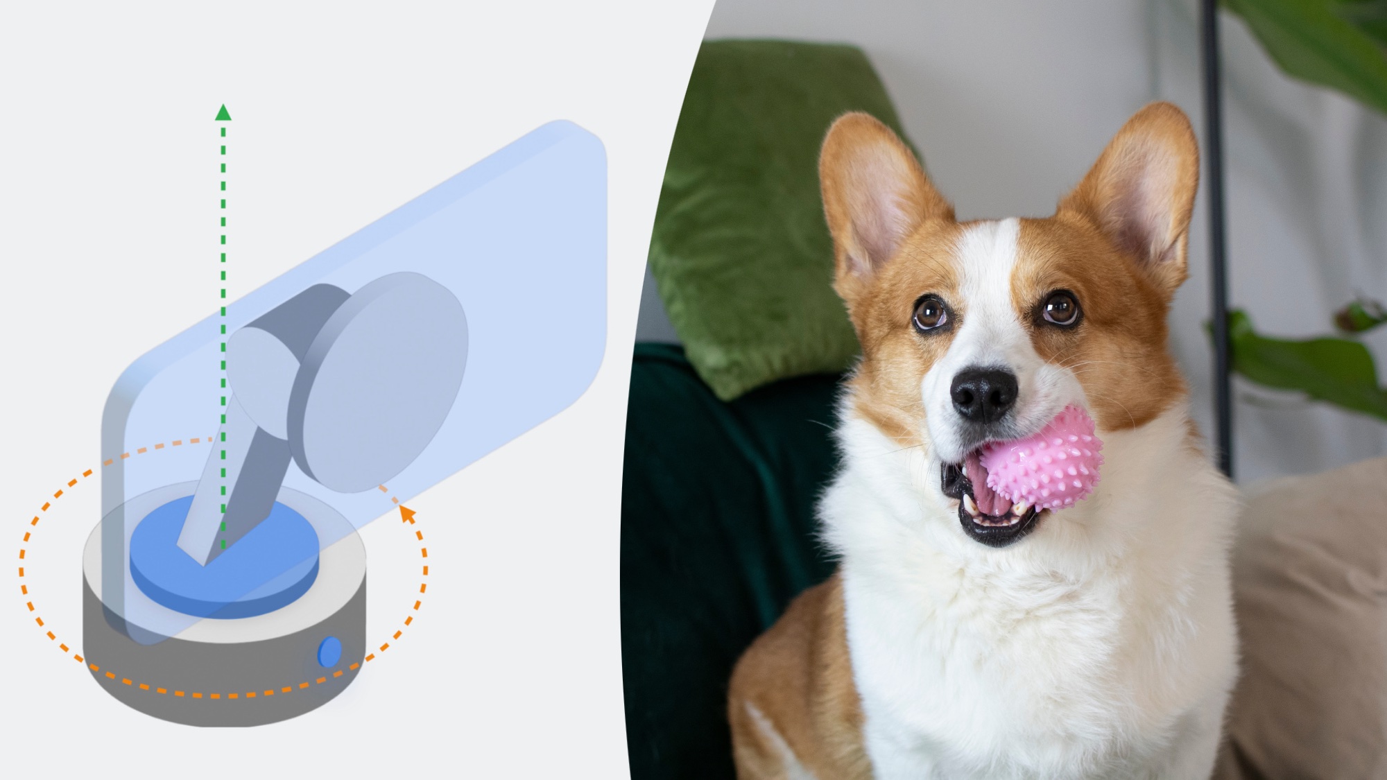 iPhone camera tracking dock and Corgi