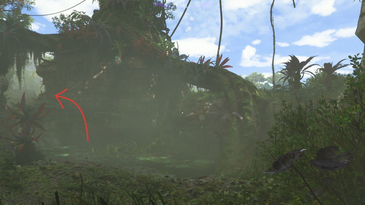 avatar find nor