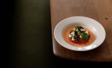 the kerfield arms london review