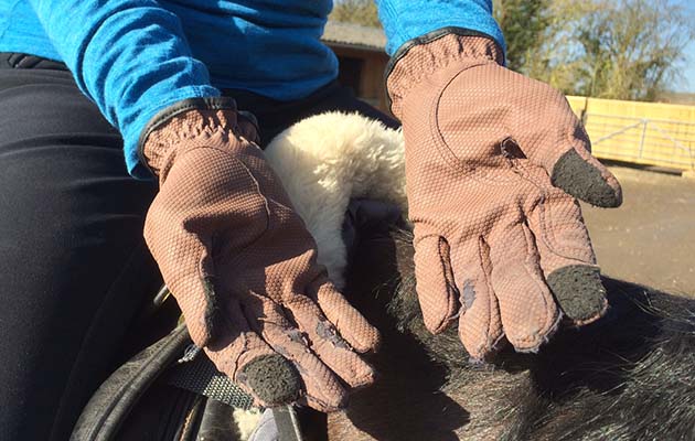 e-gloves1[1]