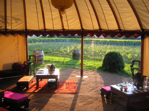 Camping at Krug, Clos du Mesnil