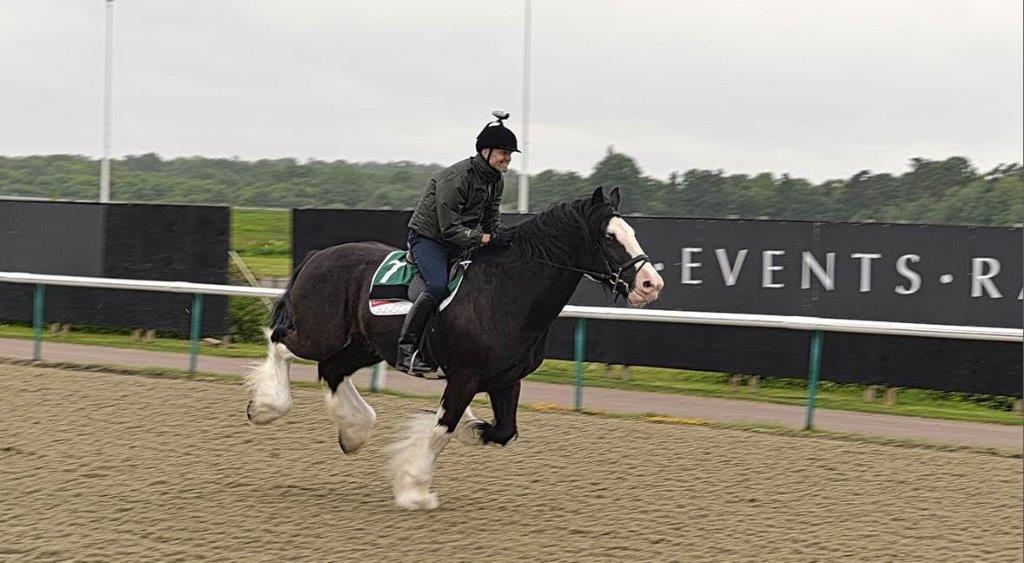 shire race