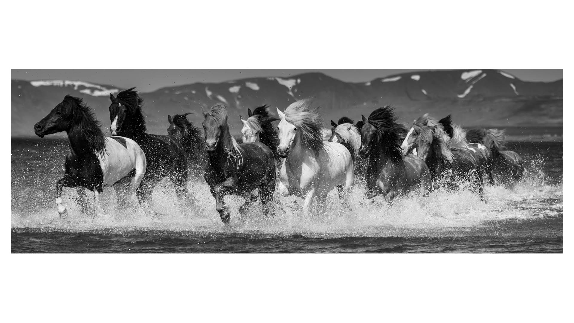 Photograph of a herd of horses standing in a freezing fjord in Iceland, titled 'Fjord Crossing' and taken by equine photographer Carys Jones. Carys will be a speaker at The Photography &amp;amp; Video Show 2026