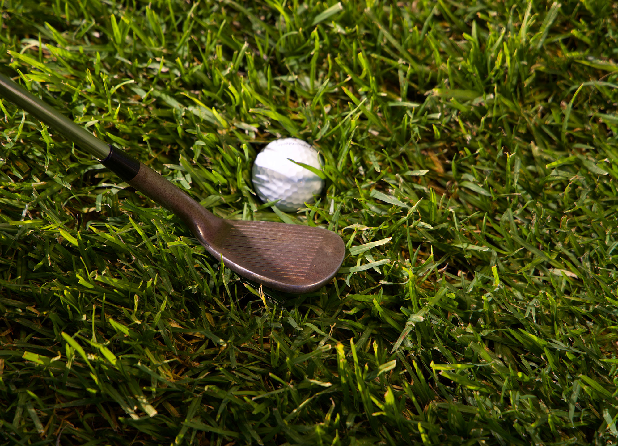A wedge behind a golf ball nestled in the rough