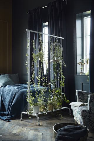 Ikea room clothes rail as divider with hanging plants