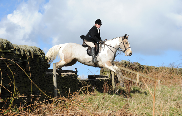Barlow Hunt on 03 03 2015