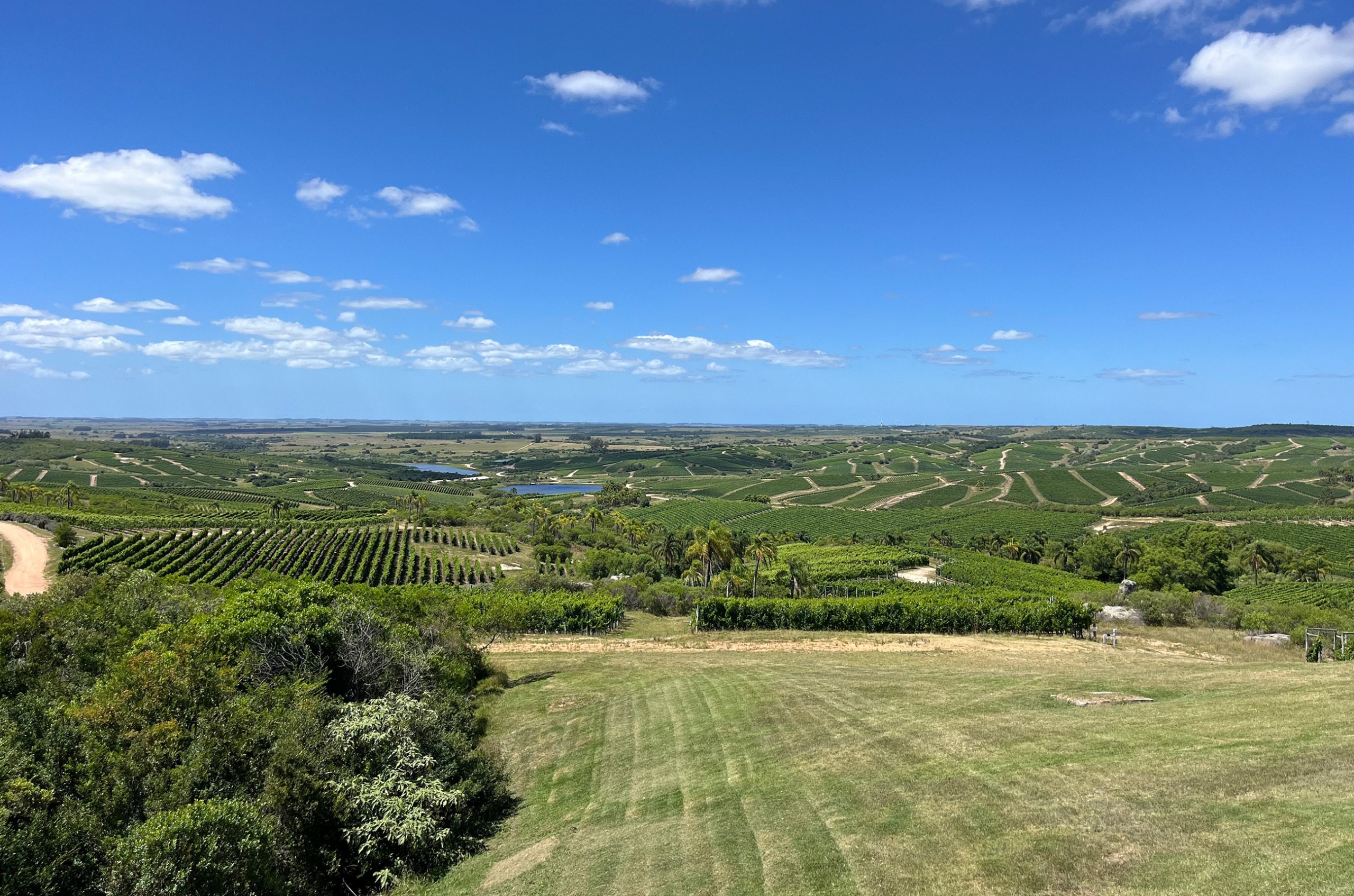 Green landscape with lakes in the distance, under blue sky