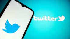 Twitter bird logo on screen and smartphone