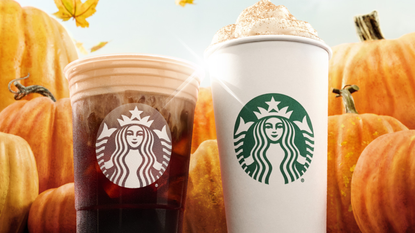 Starbucks on sale pumpkin sauce