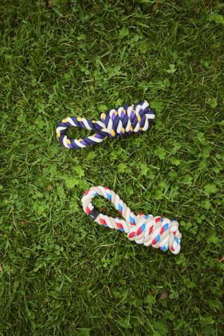 Hay dog accessories: colourful rope toys on grass