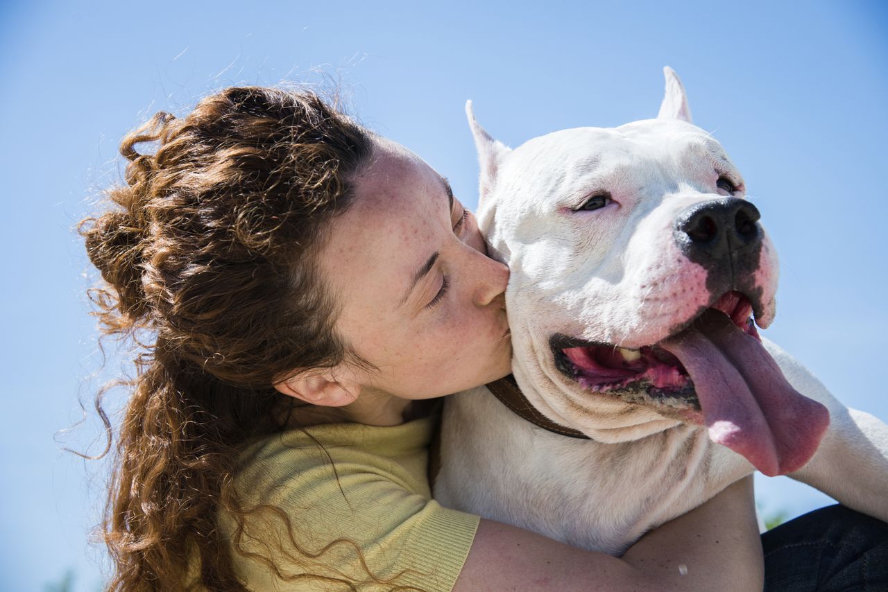 Dog and owner