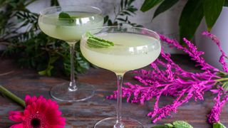 classic cocktails with gin southside recipe