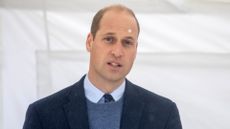 Prince William speaks at an event 