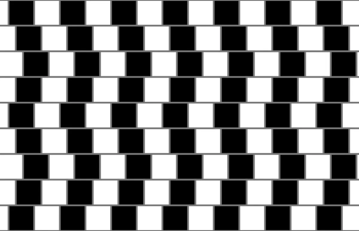 illusion 6