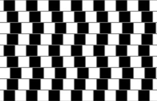 Horizontal lines of alternating black and white squares are stacked on top of each other. The lines separating them appear to bend in different directions