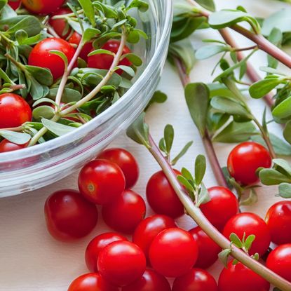 Cherry tomatoes and purslane in and next to a bowl