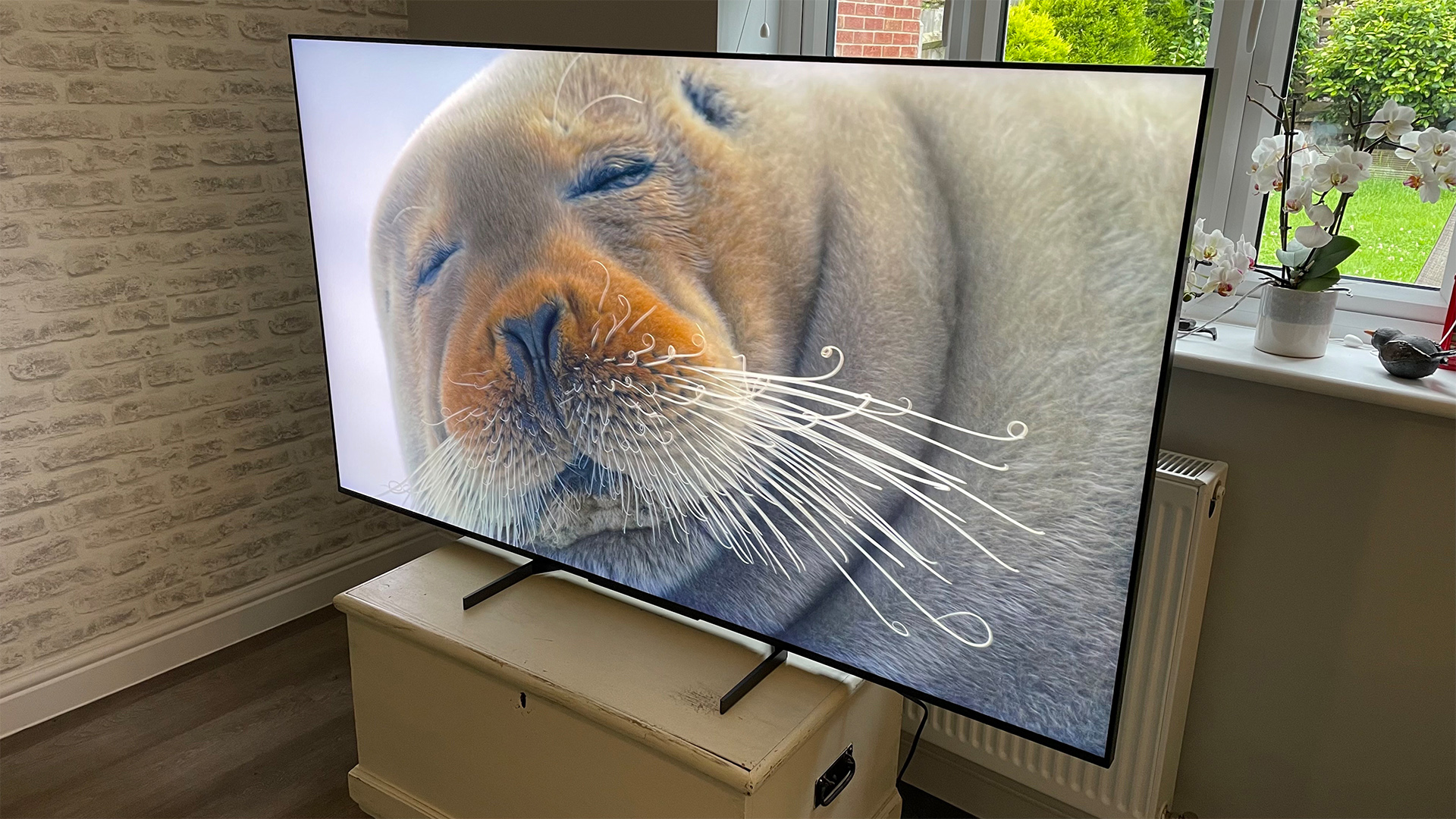 What review: another Mini Sony Sony to | latest level takes Hi-Fi? LED XR-65X95L TV its
