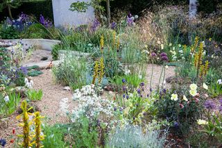 ideas for awkward shaped gardens: Gravel garden featuring grasses, Allium, Asphodeline and other drought resistant plants