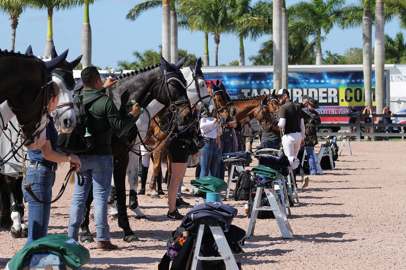 Jumper grooms and horses at groom's class at WEF