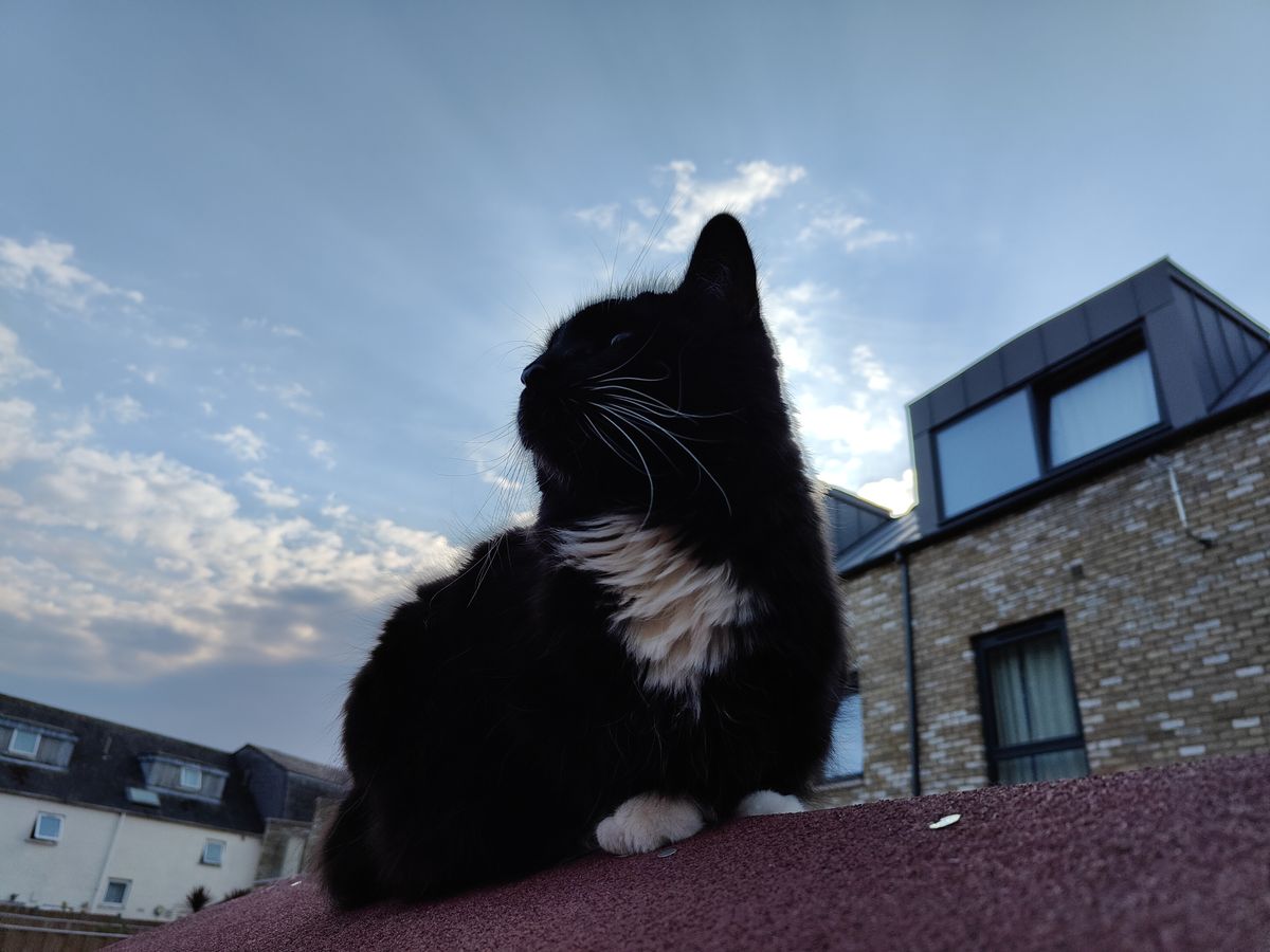 A photo captured on the OnePlus 10T smartphone