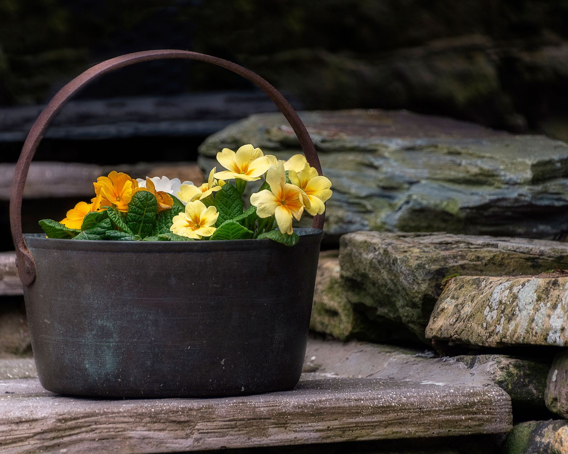 Winter planter ideas 12 coldweather containers that will look good