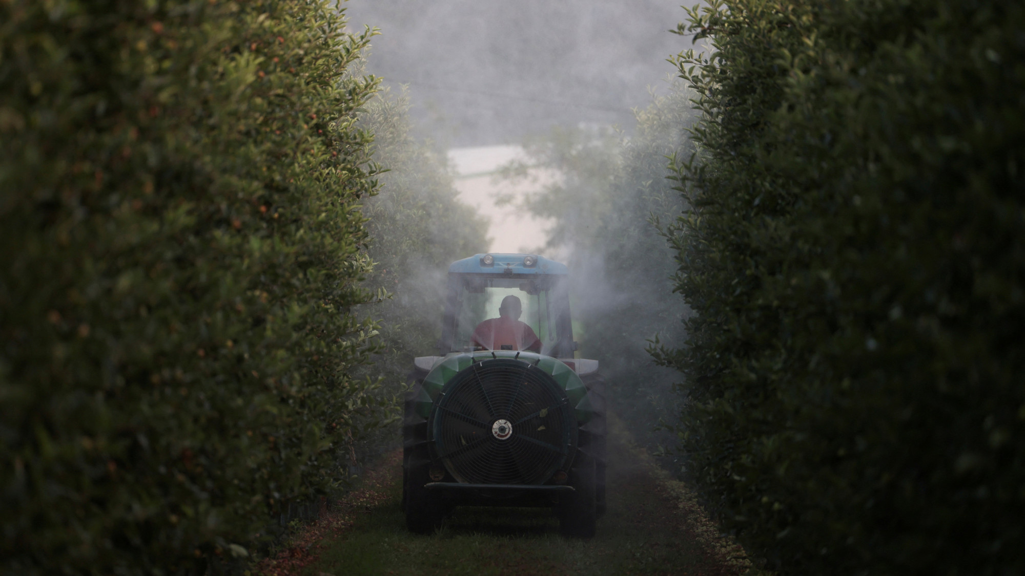 A farmer