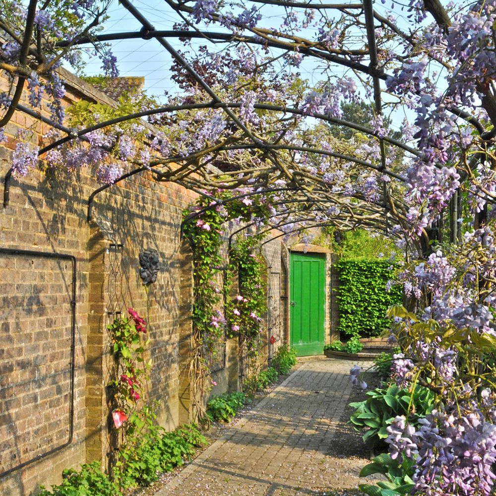 7 plants to avoid in a small garden 7 plants to avoid in a small garden