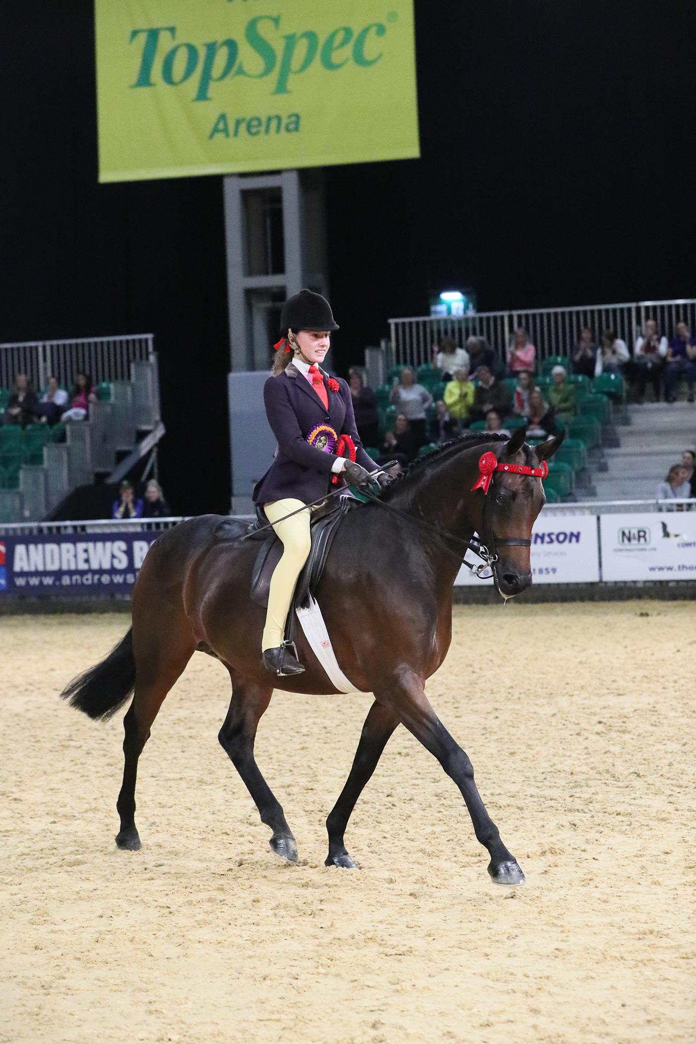 Amelia Lockhart - ABSOLUTELY CRASSIC_1st class PM - Partbred Pony of the year (2)