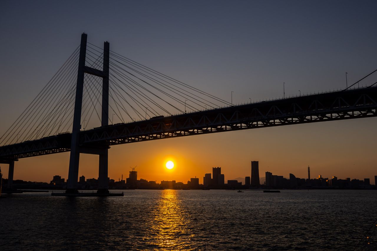Test shot taken with Sigma 16-300mm f/3.5-6.7 | C in Tokyo Japan