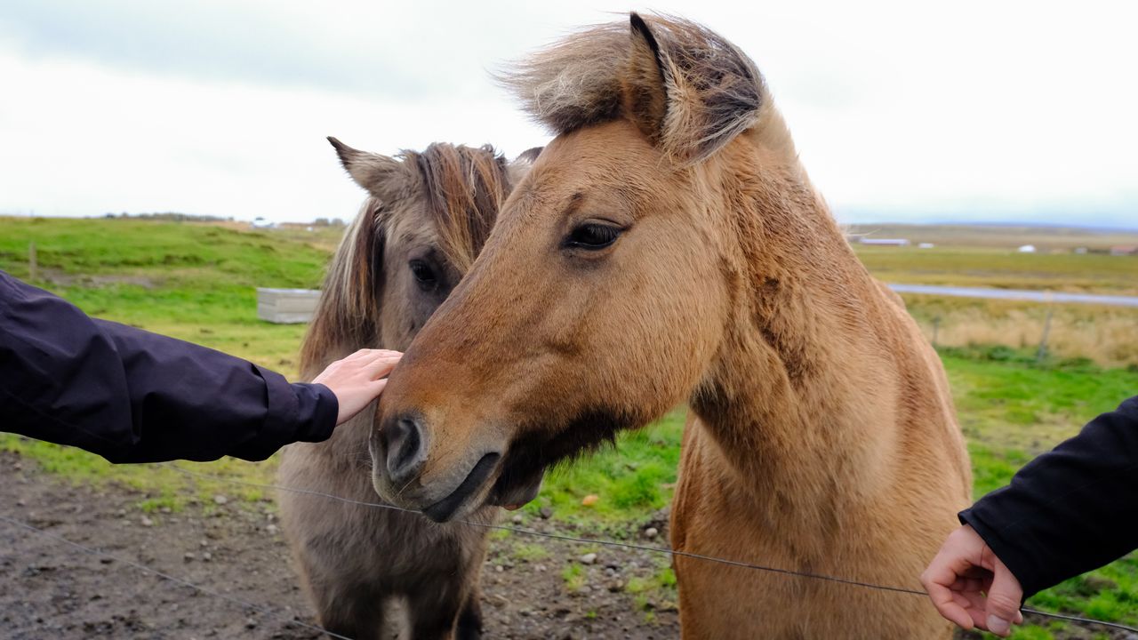A photo of Iceland taken on a Fujifilm X-T50 mirrorless camera