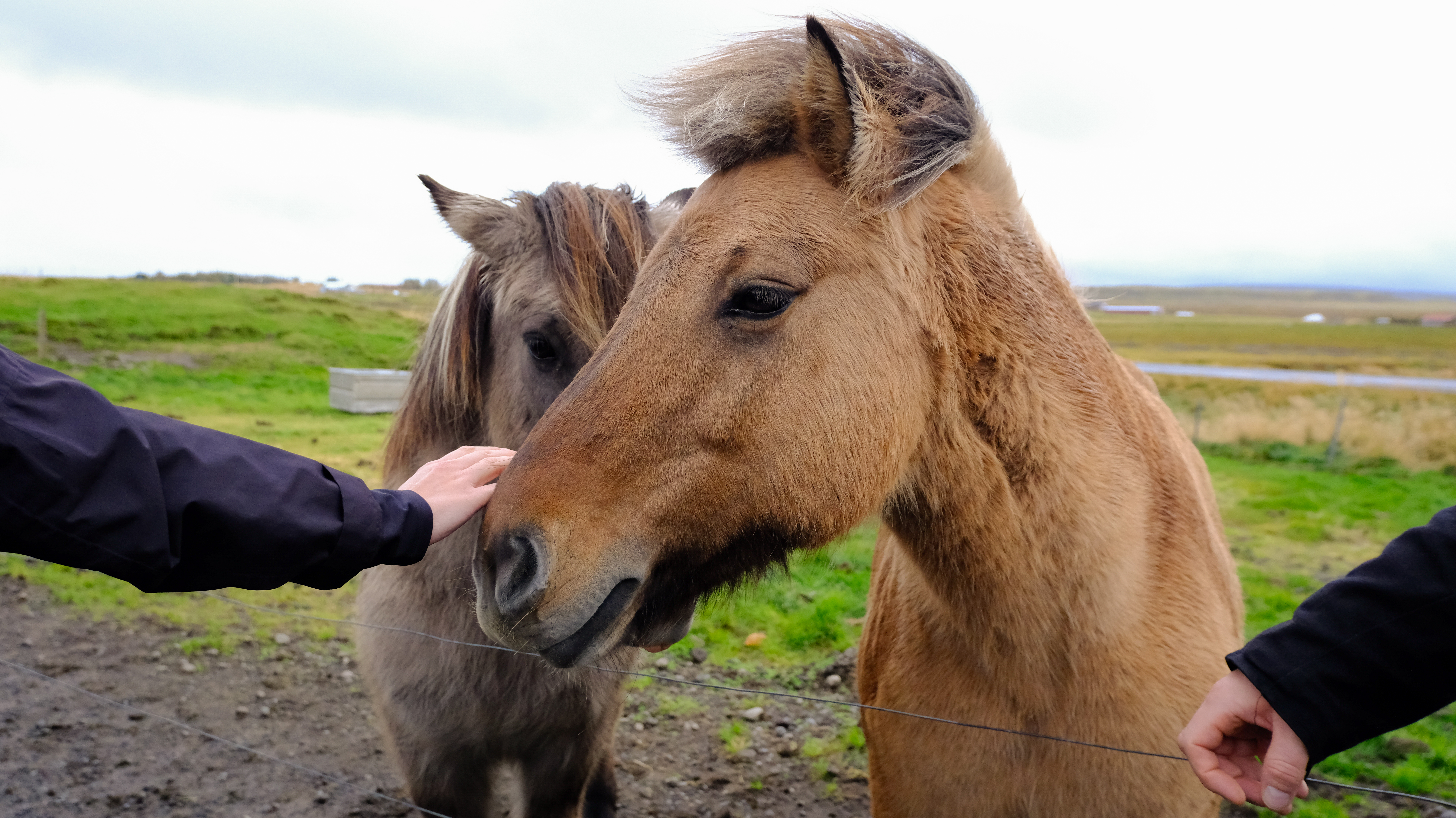 A photo of Iceland taken on a Fujifilm X-T50 mirrorless camera