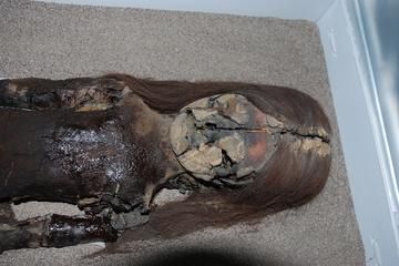 A deteriorating mummy