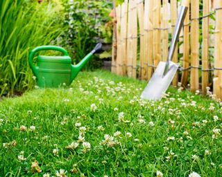 Clover lawn with watering can and spade leaning on fence