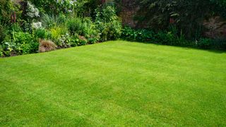 How to aerate your lawn: A lush green English garden in the summer