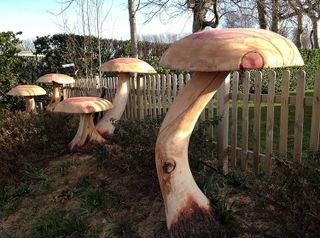 tree stump ideas: mushrooms by matthew crabb chainsaw artist