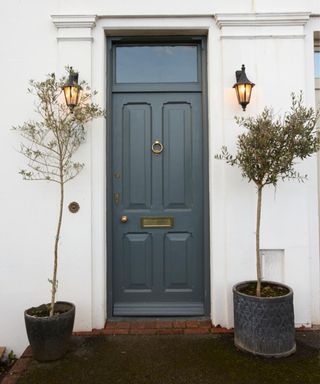 Period front door in Victorian house, architectural features, bay trees in big plant pots, wall lights.